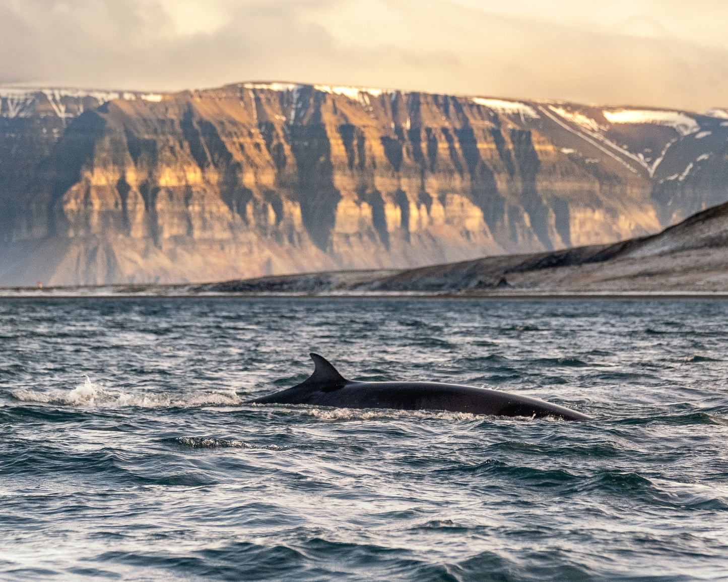 The Arctic Call • Female Leadership Expedition