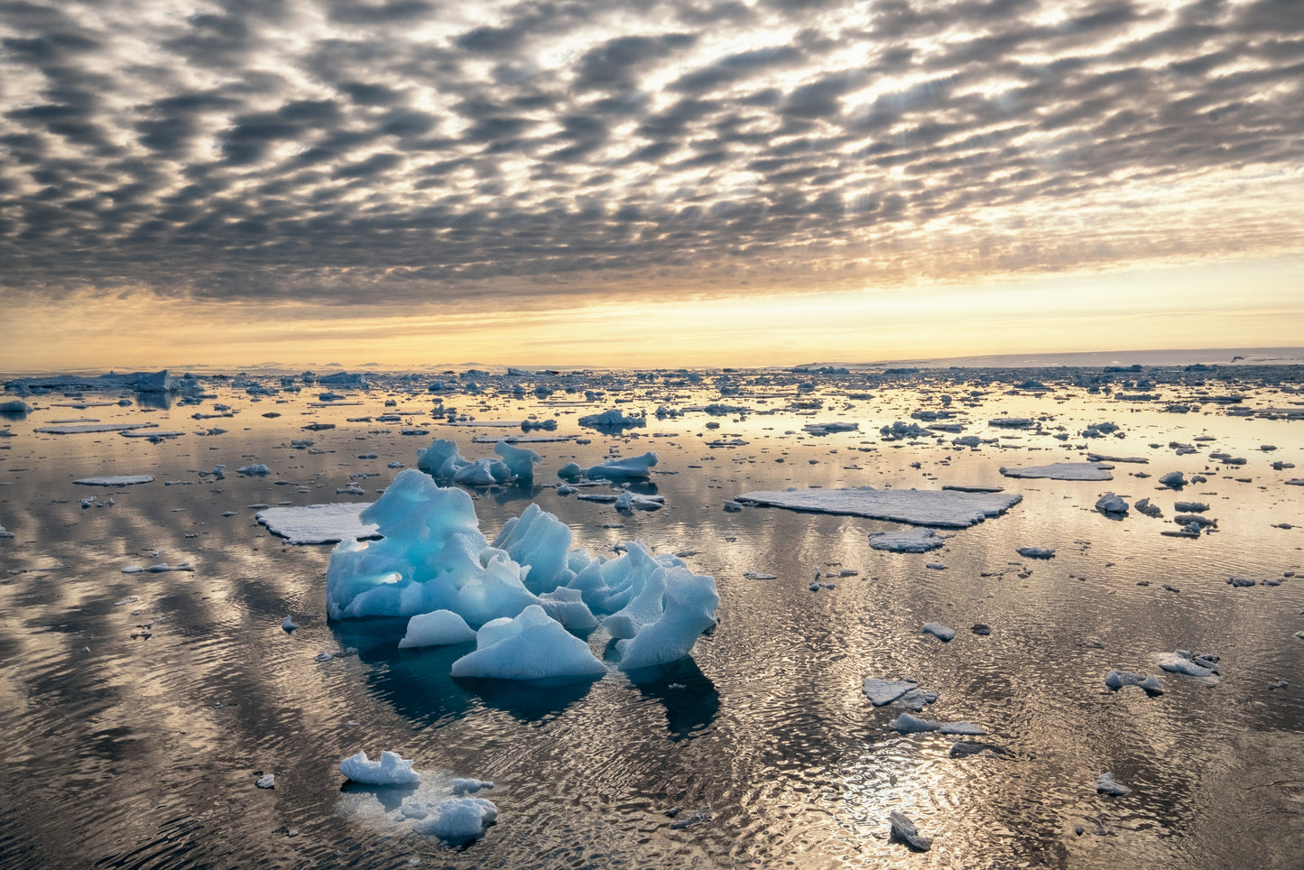 The Arctic Call • Female Leadership Expedition
