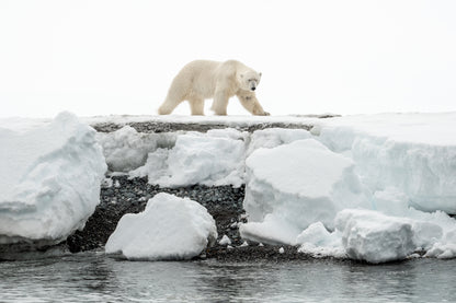 The Arctic Call • Female Leadership Expedition